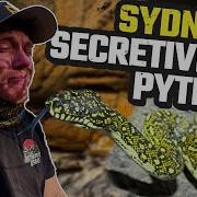 10 THINGS YOU DIDN T KNOW ABOUT THE DIAMOND PYTHON