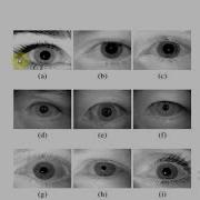 Iris Recognition Part II