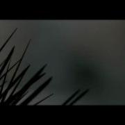 Splinter Trailer