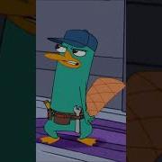 A Platypus Plumber A Perry The Platypus Plumber PhineasandFerb