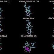 Force Field Comparison Amber GROMOS CHARMM OPLS