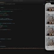Flutter Custom ListView ScrollView With Tabbar