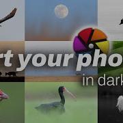 Sort Your Photos Best To Worst In Darktable Tutorial