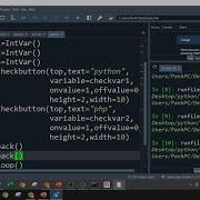 Tkinter Checkbutton In Detail Python Tkinter Tutorials In Hindi 08