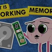 Why I Can T Remember Things How ADHD Affects Working Memory