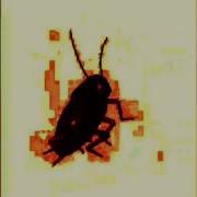 Dancing Cockroach Bass Boosted