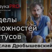 Пределы социальной организации эректусов Станислав Дробышевский Лекции по антропологии Научпоп