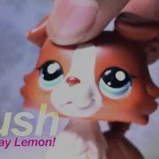 LPS MV Crush Remix Happy B Day LpsLemonMeringue SEIZURE WARNING