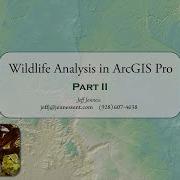 Wildlife Analysis In ArcGIS Pro 2 Of 2 Kernel Densities