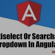 Multiselect Dropdown And Searchable Dropdown In Angular Angular Angular Tutorial