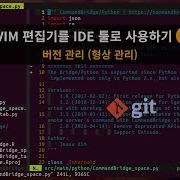 VIM 편집기에서 Git으로 버전 관리하기 Airblade Vim Gitgutter Xuyuanp Nerdtree Git Plugin Tpope Vim Fugitive