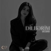 Dilbərim Remix