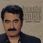 Vay Halıma Gule