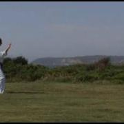 WTF Taekwondo Patterns Taegeuk Oh Jang Taegeuk 5