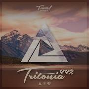 Stay Focused Tritonia 442