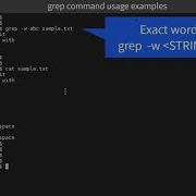 Learn GREP Command With 8 Examples