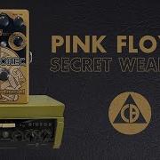 Catalinbread Echorec Multi Head Delay