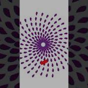 Circular Graphic Design Using Turtle In Python Programming Shorts Youtubeshorts
