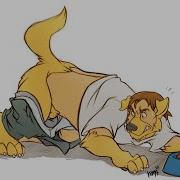 Dog Transformation 4