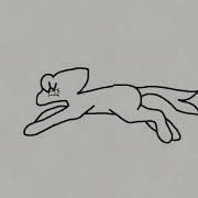 Wolf Run Cycle Test