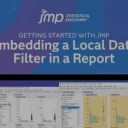 Embedding A Local Data Filter In A Report