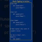 Duck Typing In Python