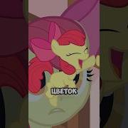 Эпплблум ЛУЧШАЯ пони в Mlp Mlp млп Shorts WildMLP