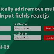 Dynamically Add Remove Multiple Input Fields React JS