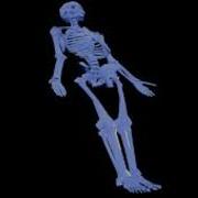 BONES BlackMold Lyrics