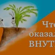 Зарабатываем на Ctrl C Ctr V Что внутри