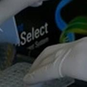 SureSelect Hybridization
