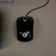 Amazing Mouse Tricks