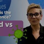 Cold Vs Flu What S The Difference Dr Julie Ronald Explains