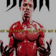 DMX Bring Your Whole Crew