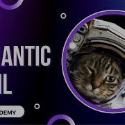 Semantic HTML Quiz Day 14 Codecademy