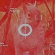 Terminate Squirrel Terminator Vision Test