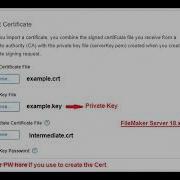 Quick Easy To Create FileMaker Server 16 Xx To 19 Xx SSL Certificate