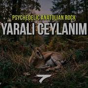 Yaralı Ceylanım Psychedelic Anatolian Rock Cover Bağlama Fuzz Guitar