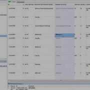 Локализация программ Radialix IDA Pro 5 2 X64dbg Часть 5