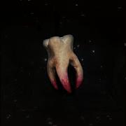 Teeth