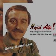 Nejat Alp Sensizliğe Alışamadım Yüksek Kalite 1985 Etiketçilere