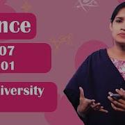Lesson 01 Plant Diversity Part 01 Grade 07 Science In English