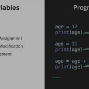 Module 1 Introduction To Python Basics Monash University