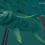 Steering Behaviors In 3D Fish AI Unity And Steering Behaviors