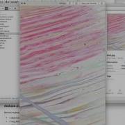 Sorting Images Using The Dataset Tools Library