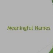 Chapter 2 Meaningful Names