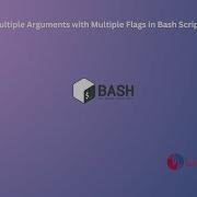 How To Pass Multiple Arguments With Multiple Flags In Bash Script On Debian 12