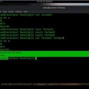 Viewing Files With Cat And Tac In Linux