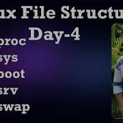 Linux Explained Proc Sys Boot Srv Swap Day 4 Linux Directory Structure Linux Ubuntu