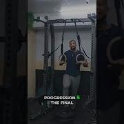 Ring Dip Progression Master The Complete Dip Bodyweight Tutorial Shorts